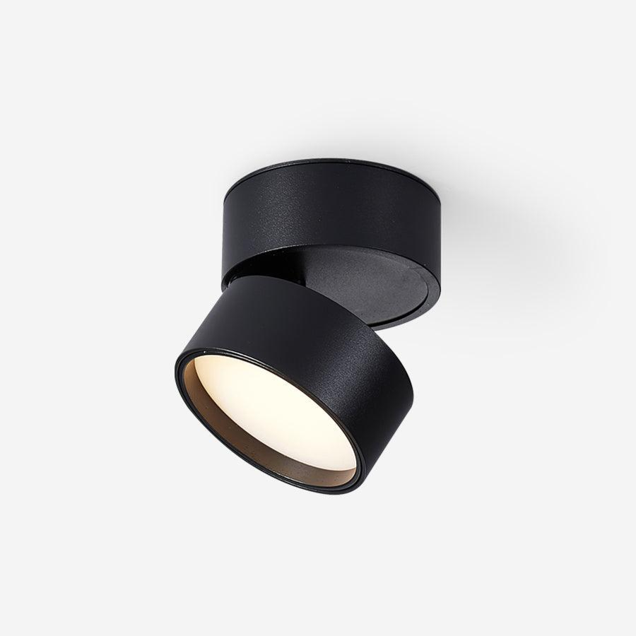 Favilla Ceiling Surface Light