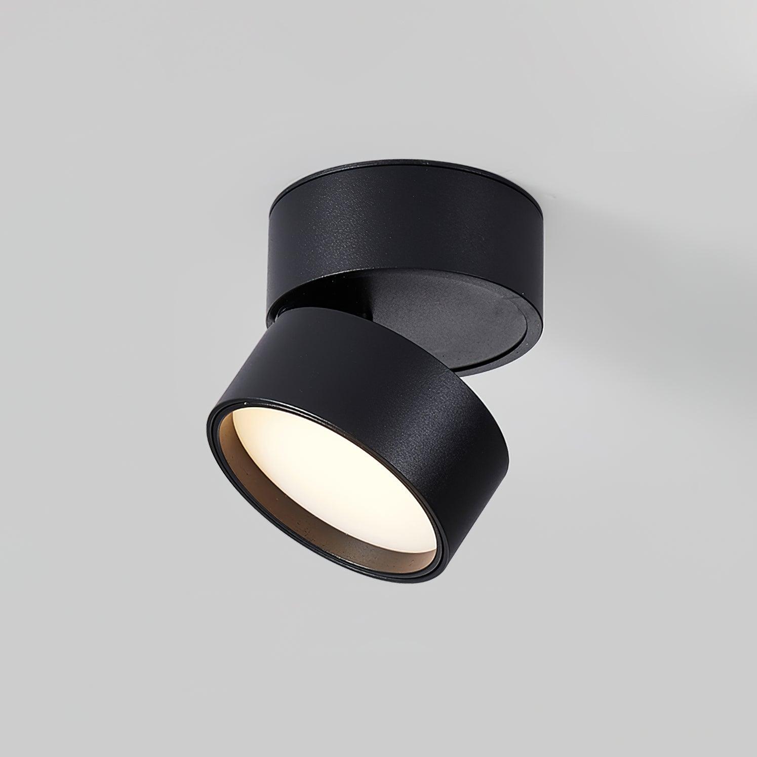 Favilla Ceiling Surface Light