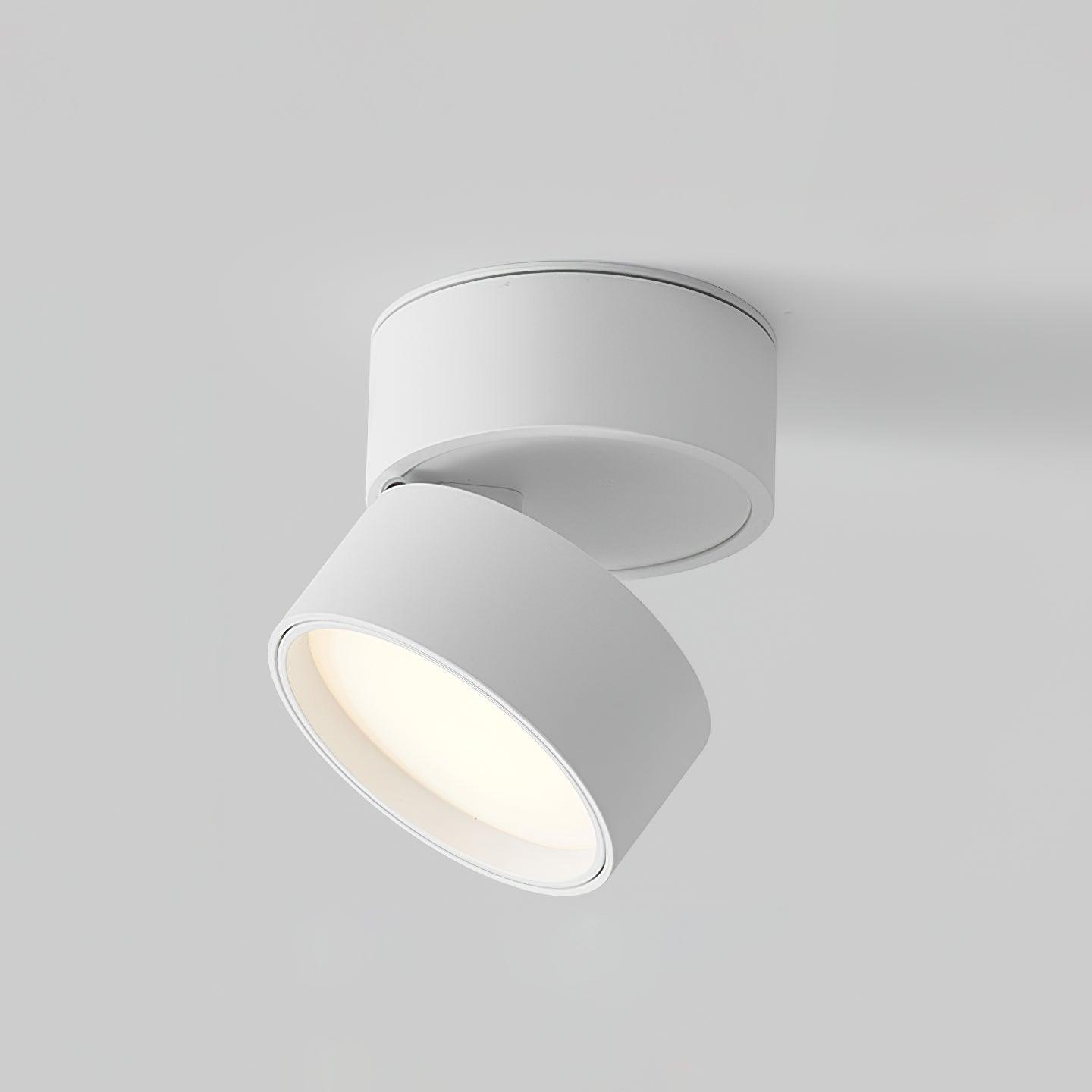Favilla Ceiling Surface Light