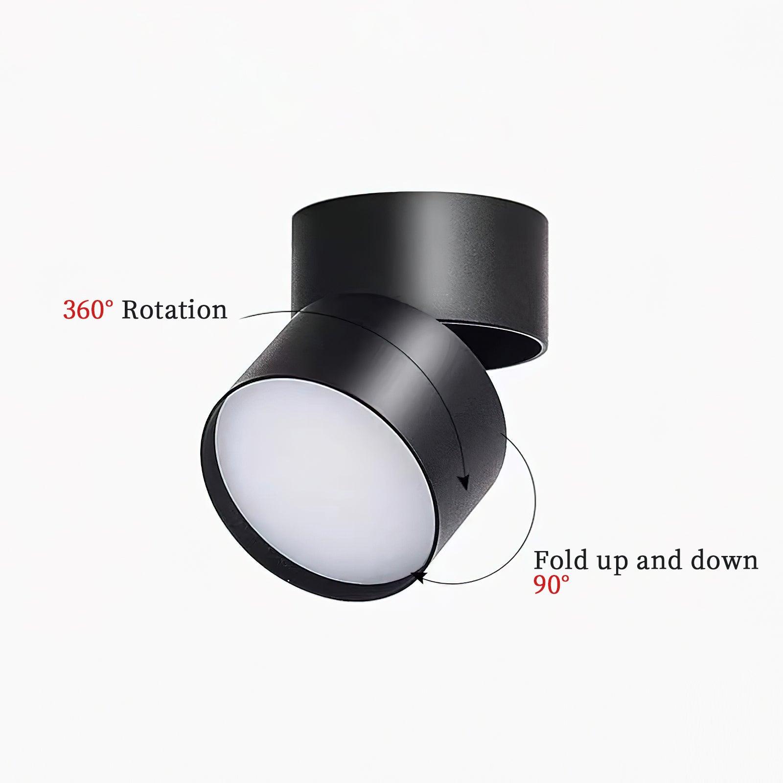 Favilla Ceiling Surface Light