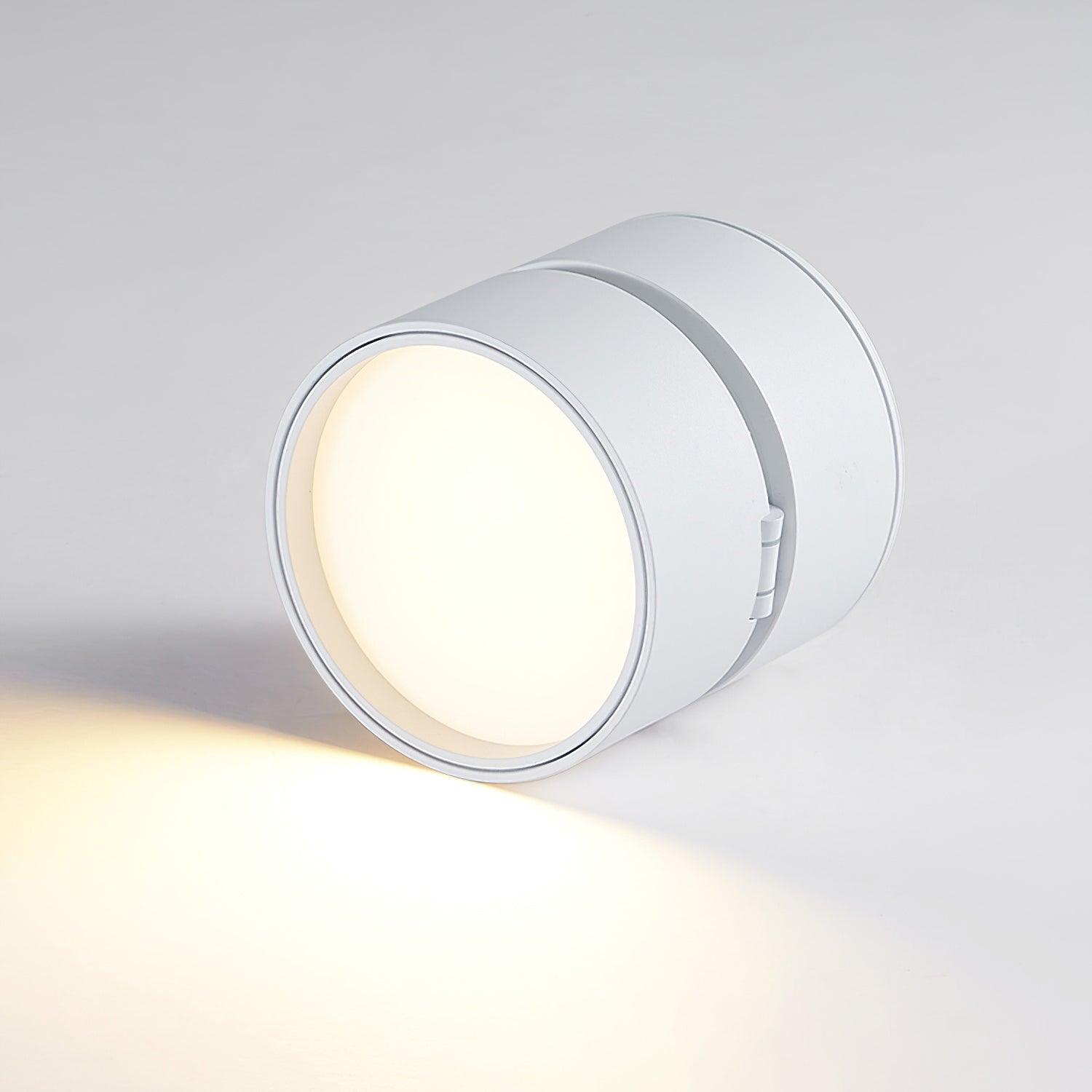 Favilla Ceiling Surface Light