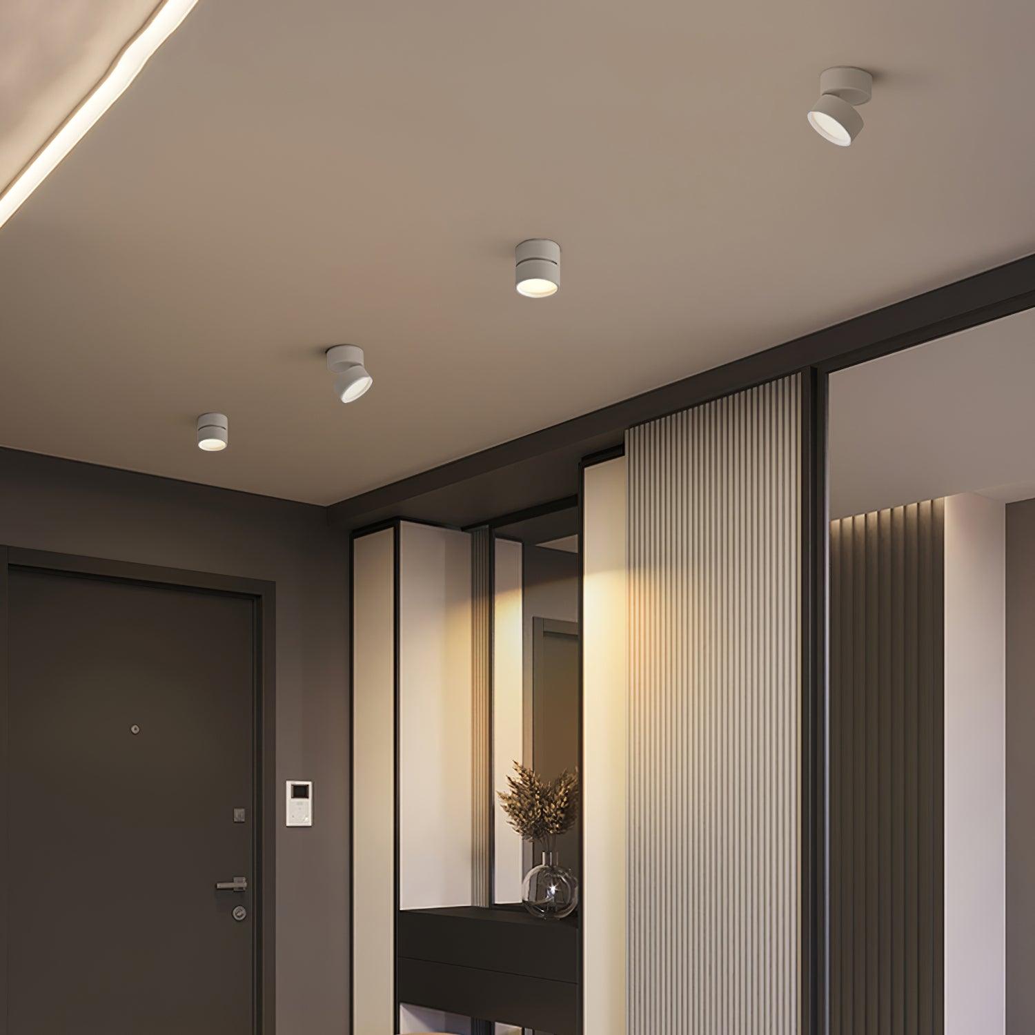 Favilla Ceiling Surface Light