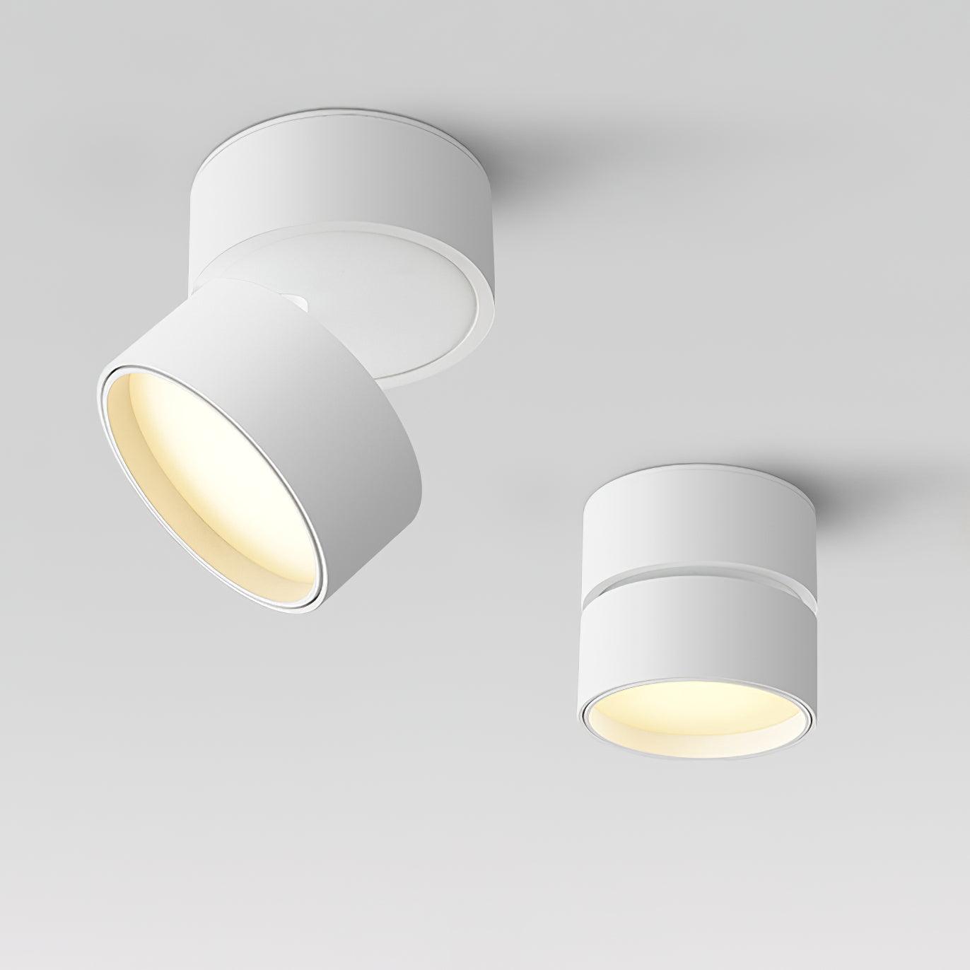 Favilla Ceiling Surface Light