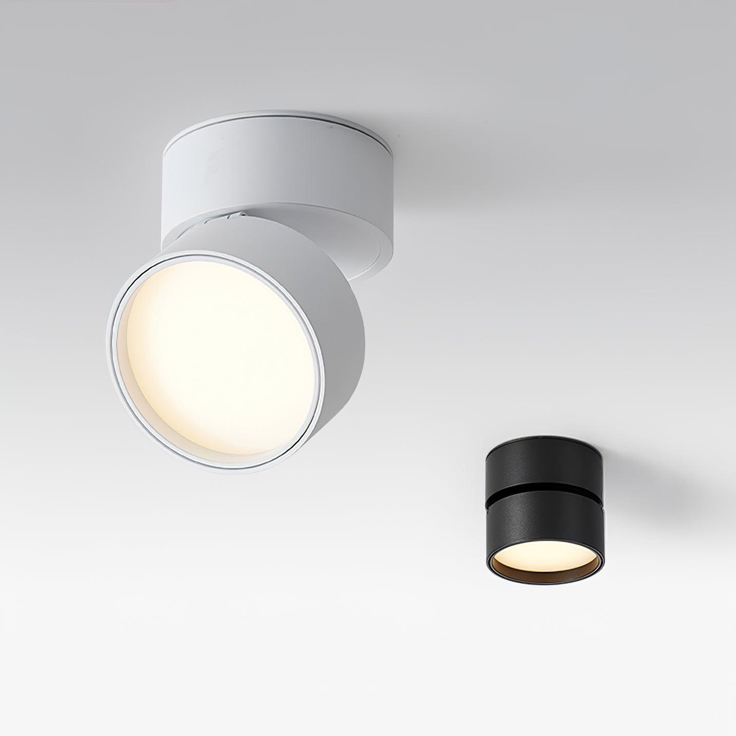 Favilla Ceiling Surface Light