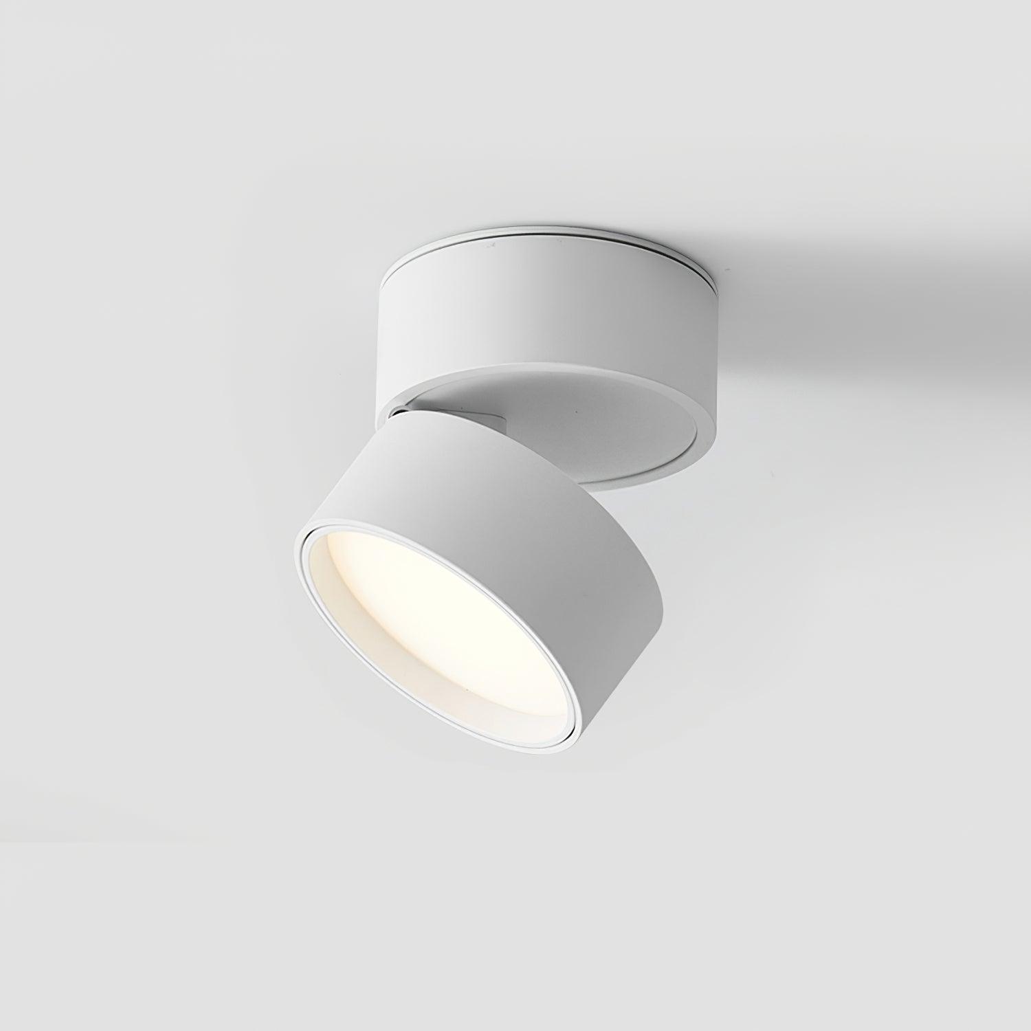 Favilla Ceiling Surface Light