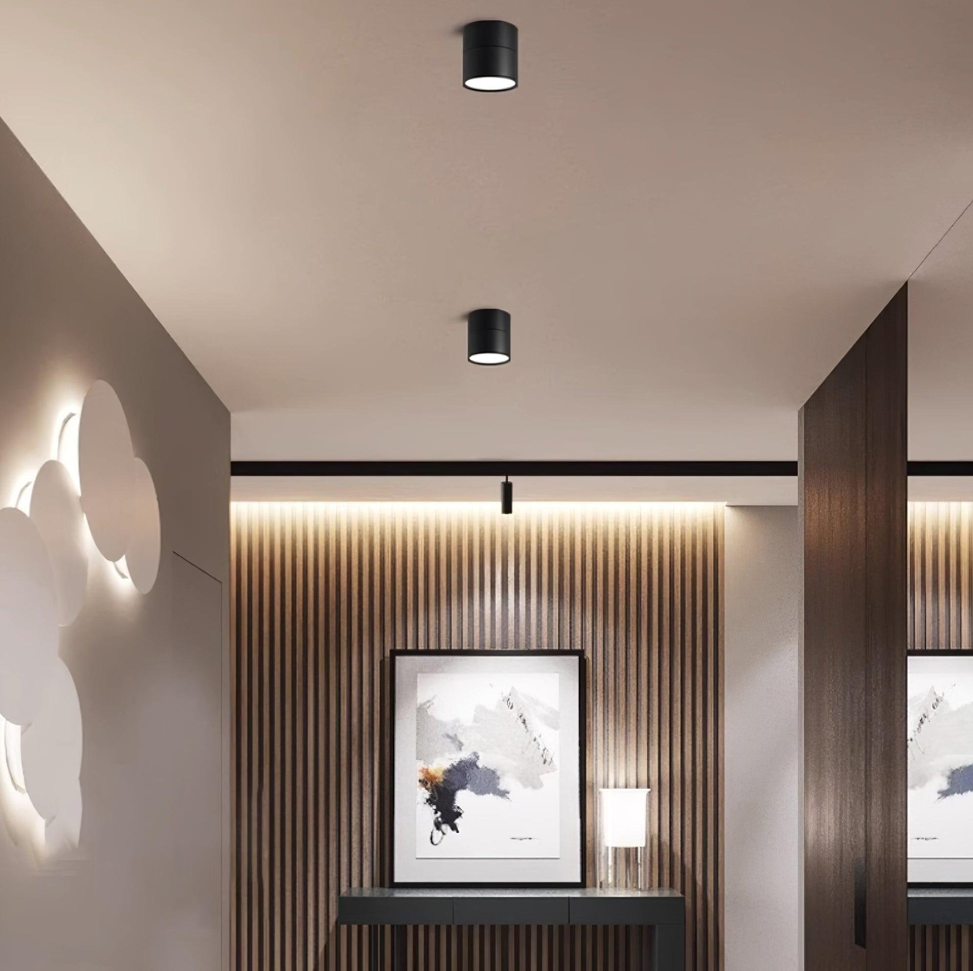 Favilla Ceiling Surface Light