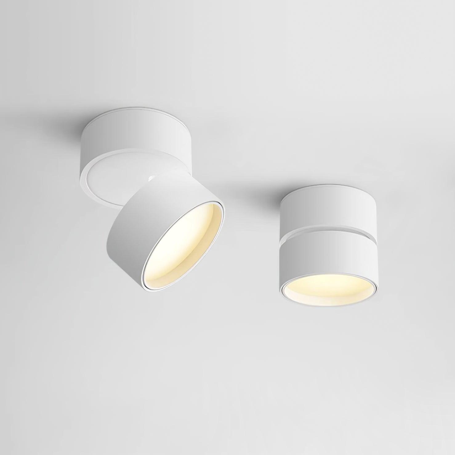 Favilla Ceiling Surface Light