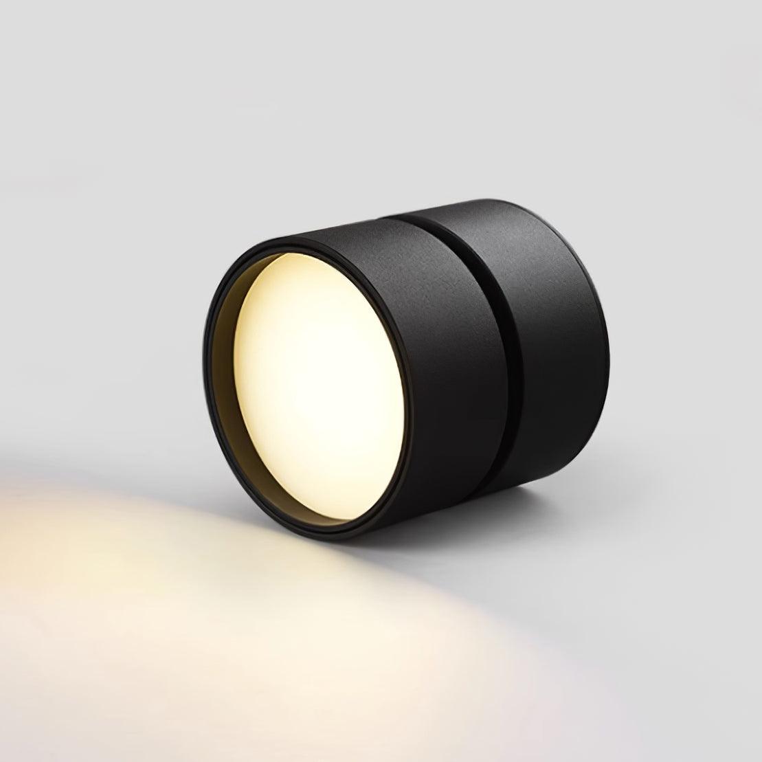 Favilla Ceiling Surface Light