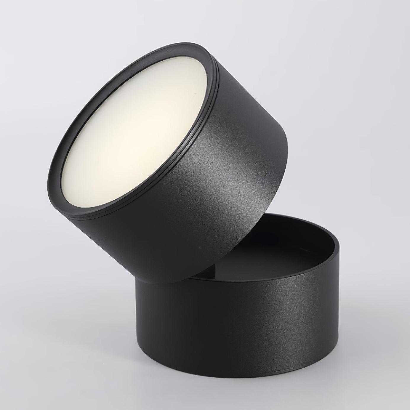 Favilla Ceiling Surface Light