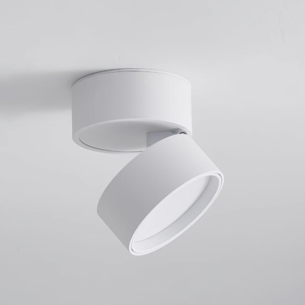 Favilla Ceiling Surface Light