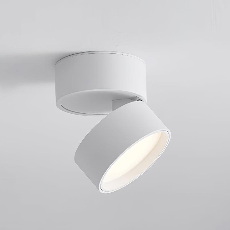 Favilla Ceiling Surface Light