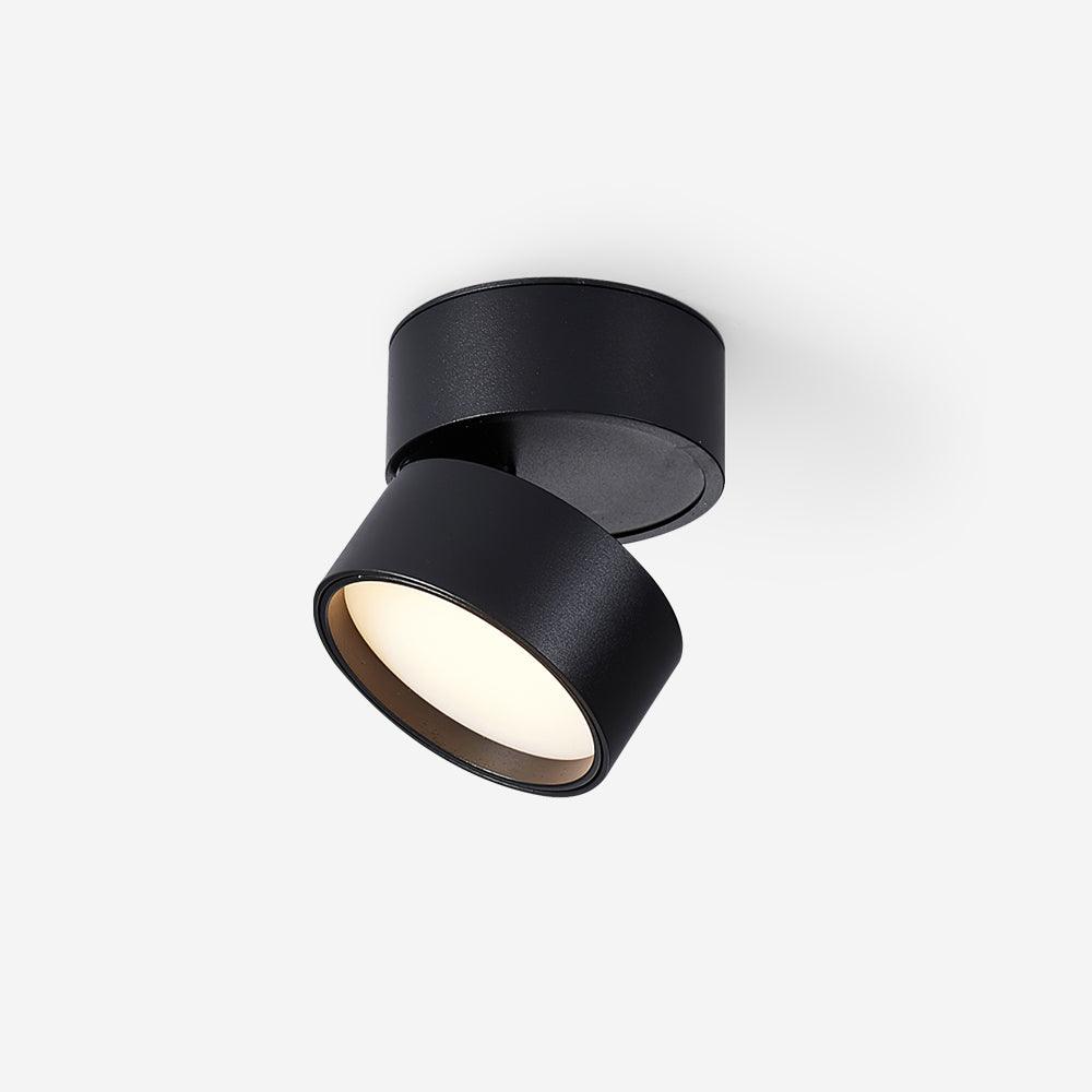 Favilla Ceiling Surface Light