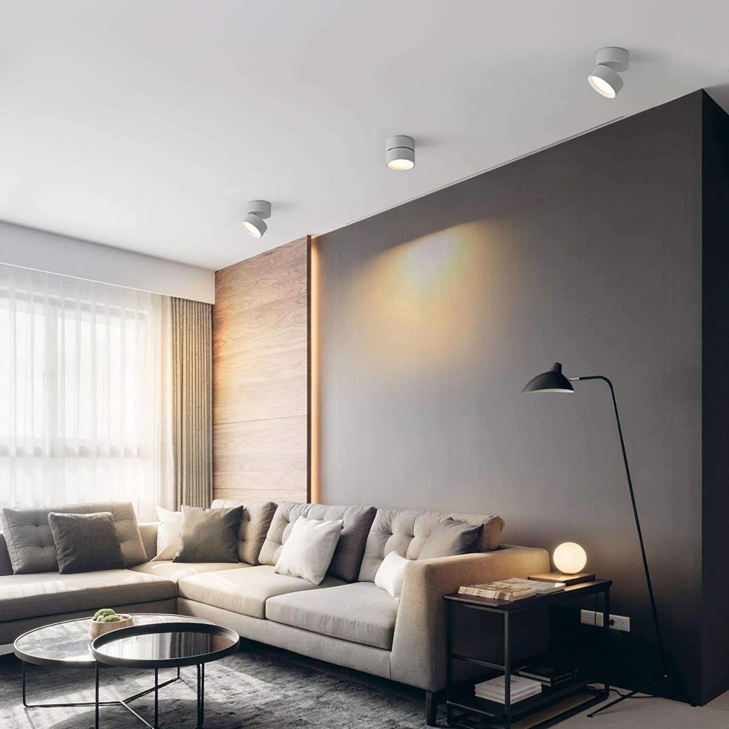 Favilla Ceiling Surface Light