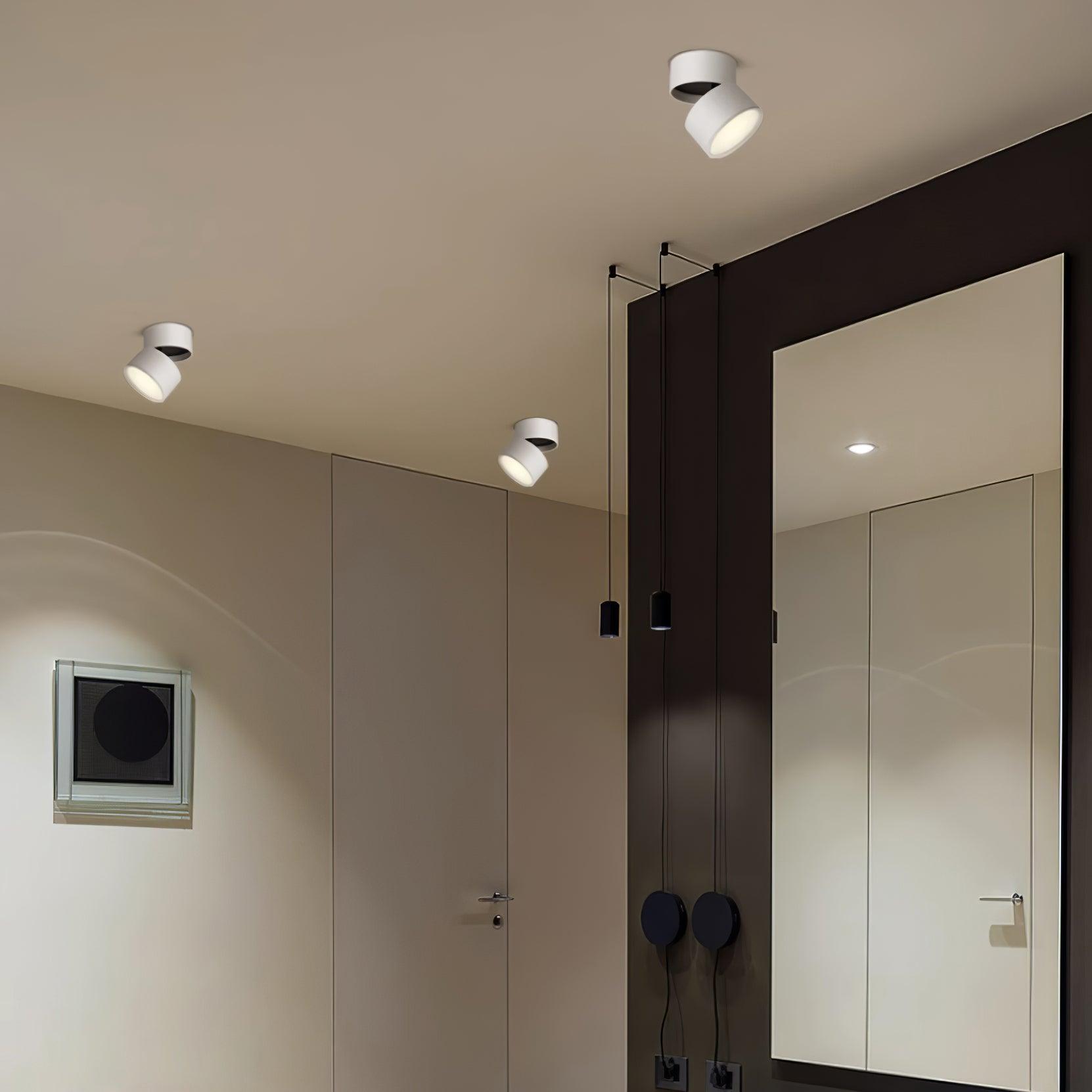 Favilla Ceiling Surface Light