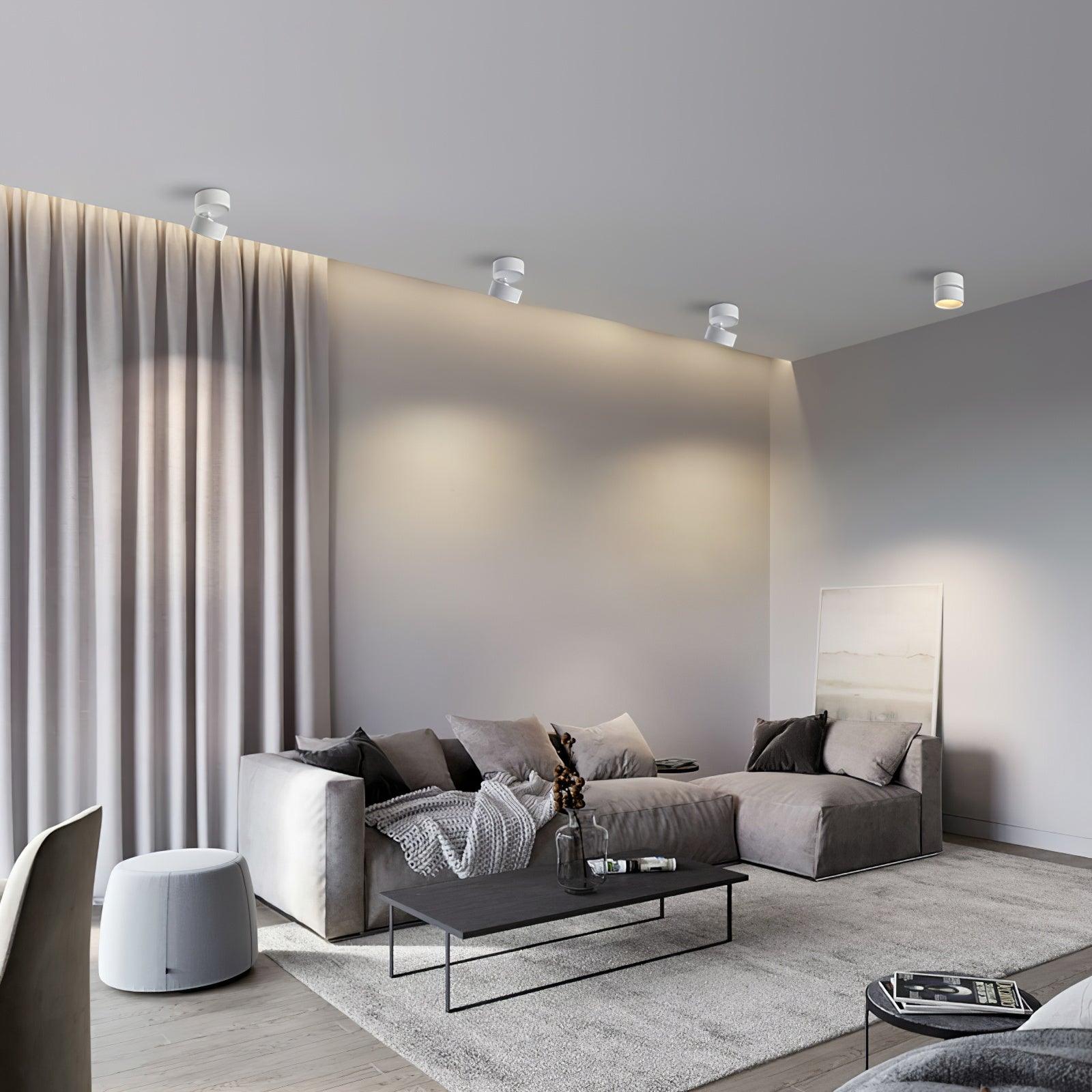 Favilla Ceiling Surface Light