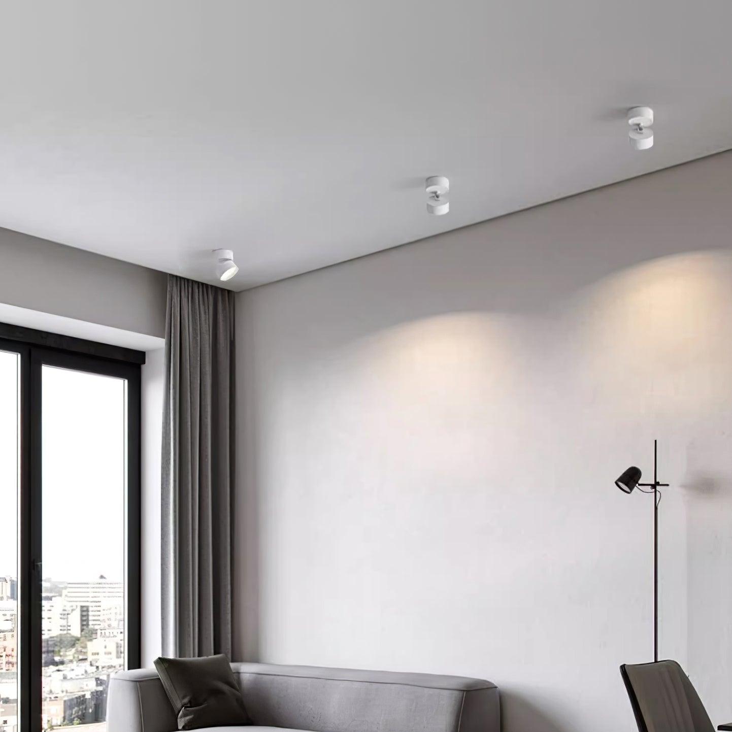 Favilla Ceiling Surface Light