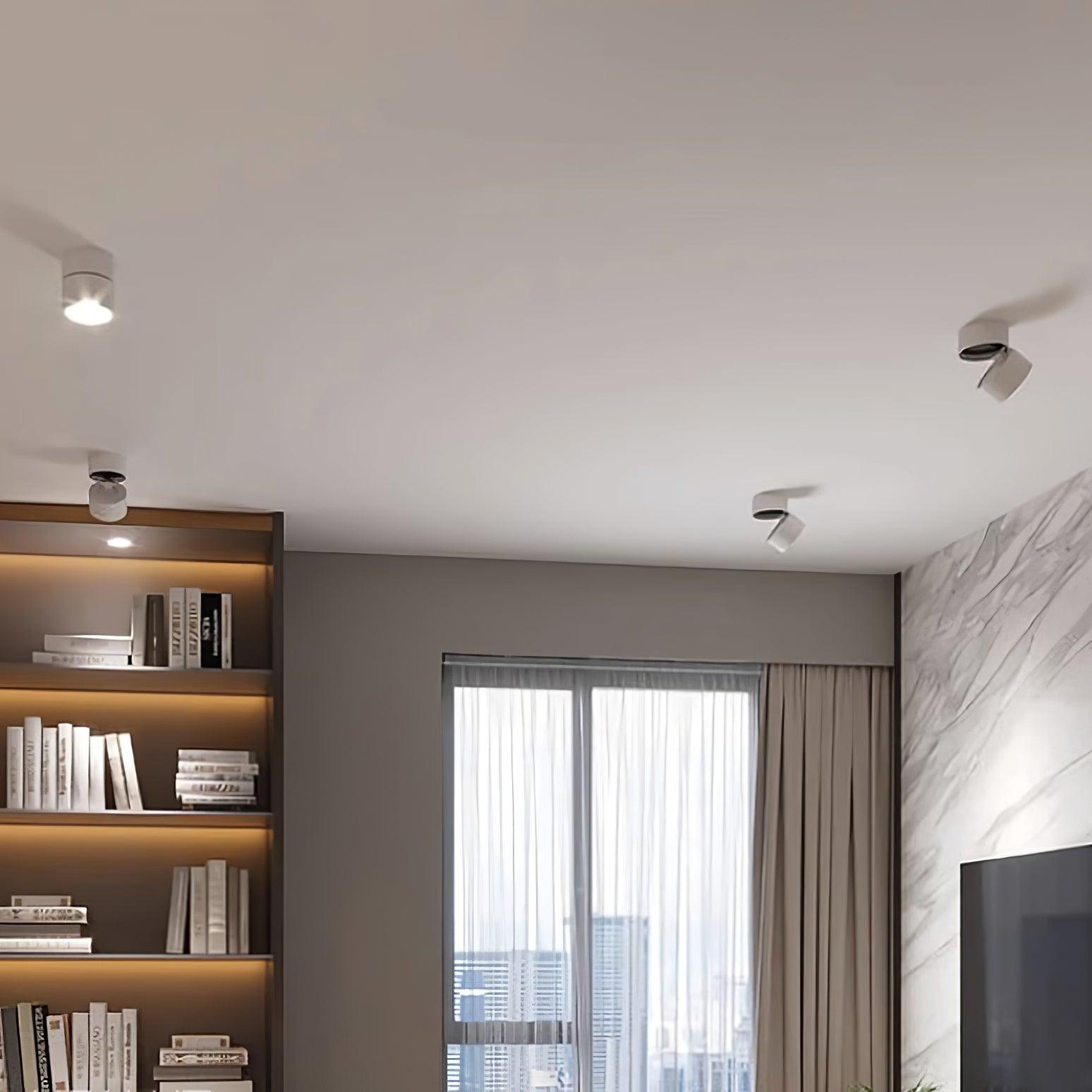 Favilla Ceiling Surface Light