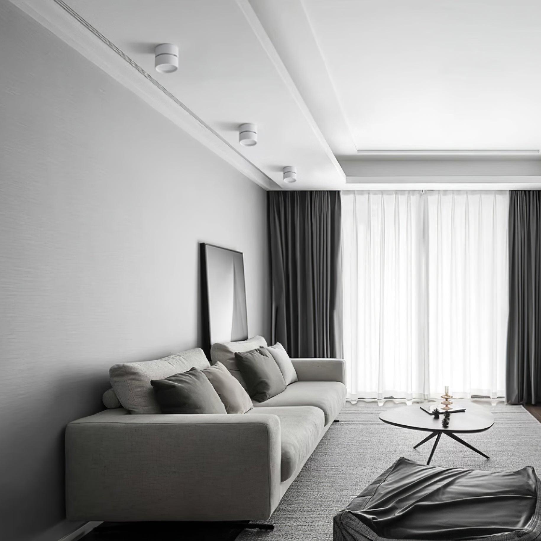 Favilla Ceiling Surface Light