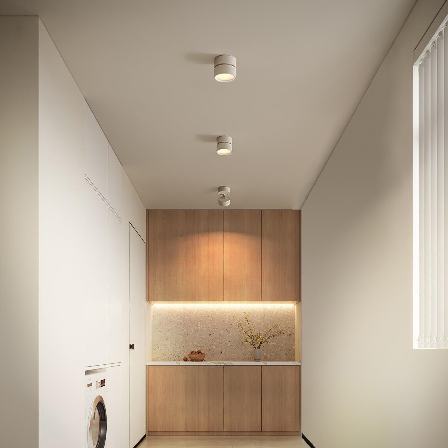 Favilla Ceiling Surface Light