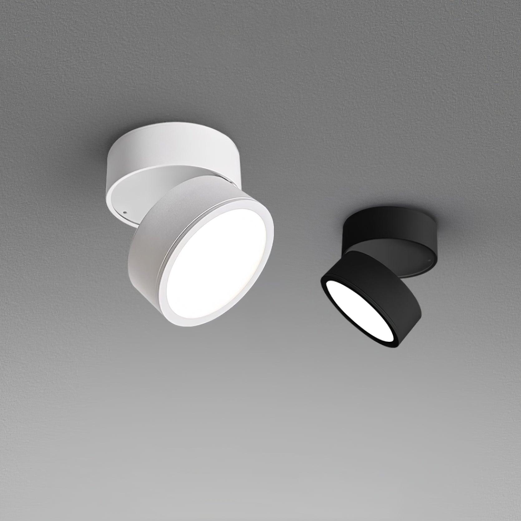Favilla Ceiling Surface Light